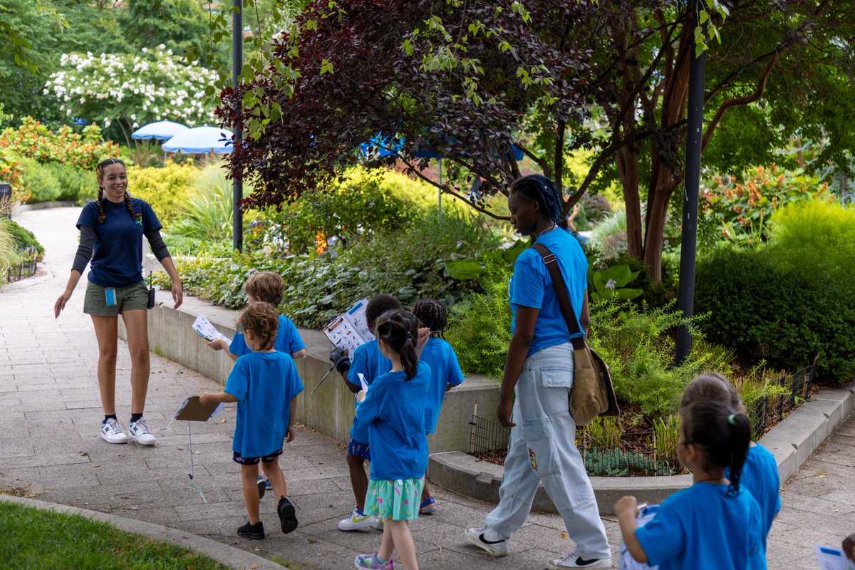 Summer camp field trips are open at Hudson River Park! 🐟🌿 Campers can meet local wildlife at Pier 40 Wetlab aquarium, explore the Gansevoort Peninsula salt marshes &amp; hunt for insects, birds &amp; plants throughout the Park. Book your group’s spot now! hudsonriverpark.org/the-park/parks…