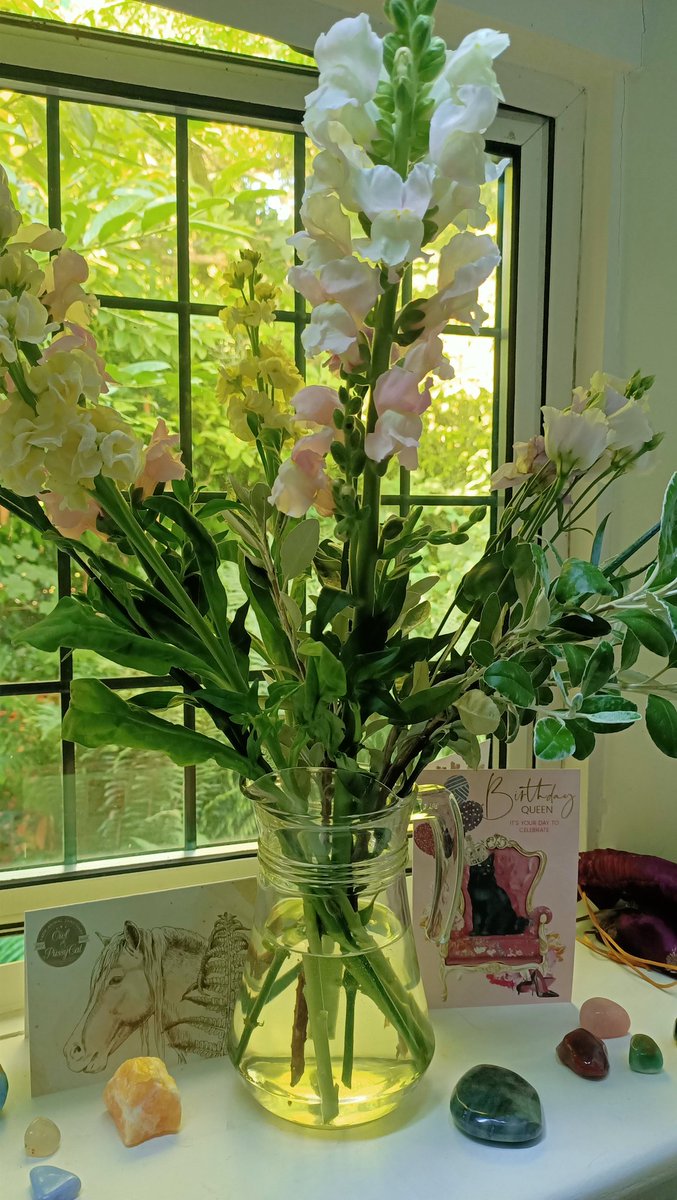 CarolynDActor's tweet image. Feeling so much gratitude for my lovely friends over here who helped make my birthday fabulous 💖😊 lunch & drinkies down at Lyme Regis in Thursday, a glorious summer day & some beautiful flowers 💐☀️🍹#gratitude #friendships #summerfun