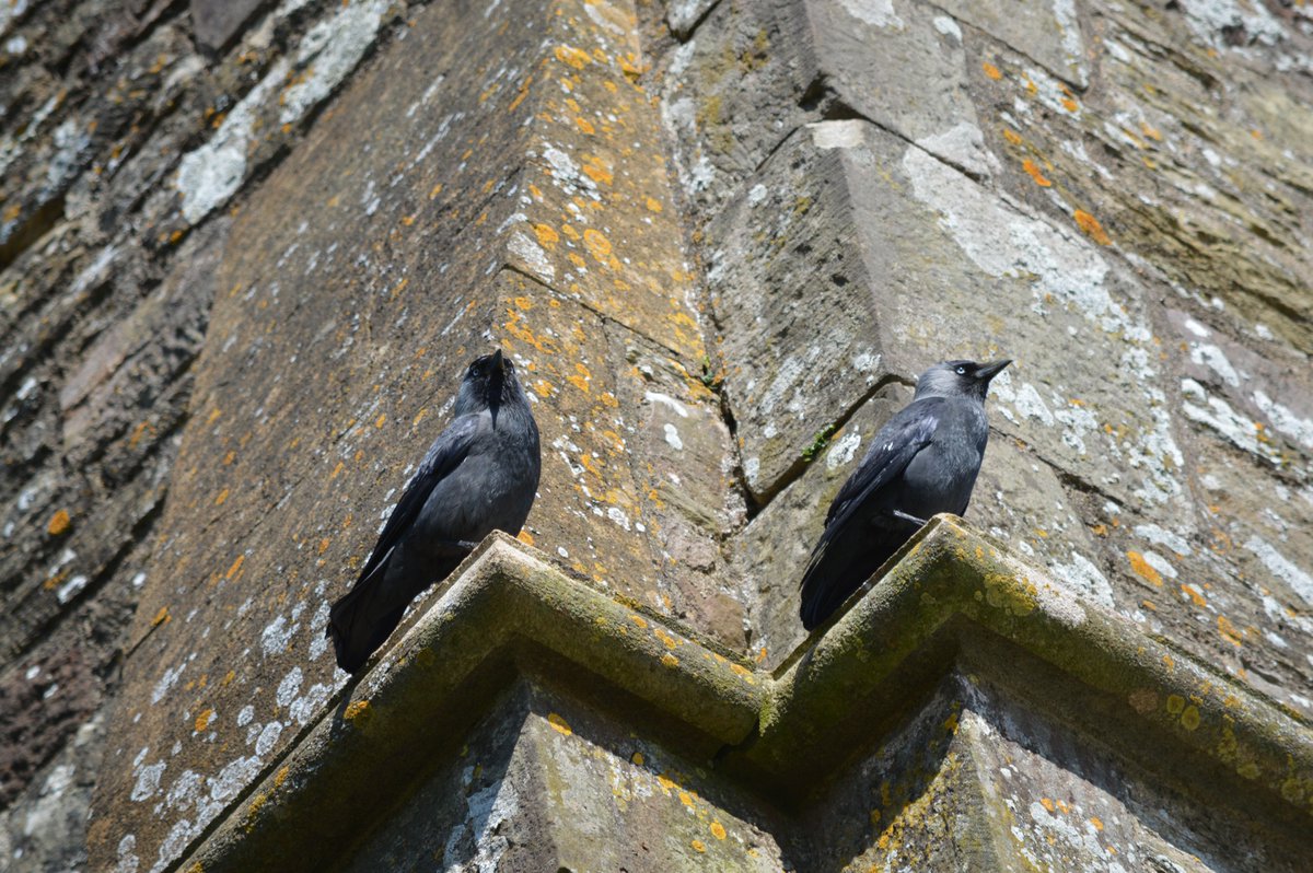 ChristChPar's tweet photo. Christ Church is supporting the https://t.co/PuSHW4UZgg summer campaign, All creatures #greatandsmall
Some photos from visitors to our coffee mornings https://t.co/YLTjF4mfSd