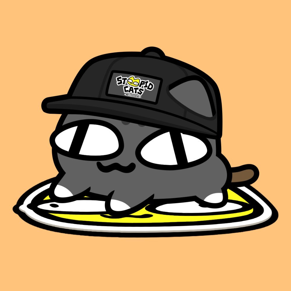 DumasTonks's tweet photo. Gm Gm !

This is day 14 of posting one of my @x_stoopidcats_x NFTs every day until $STOCAT gets to 1 cent !    

A hot day to just chill, summer is here ☀️

Join the movement, don't be stupid, #BeStoopid https://t.co/jacDsGmmPb