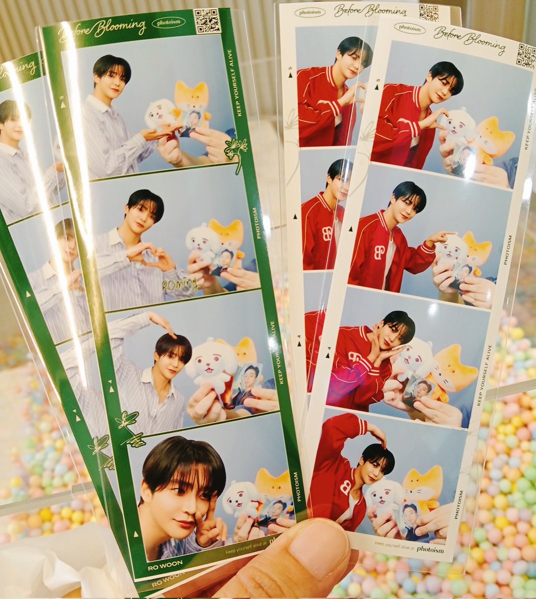 buajae's tweet photo. PHOTOISM X ROWOON
พาซงซงงี่กะแบคกูย่ามาถ่ายกะพิมุ้ซอกอูย่าา พรุ่งนี้วันสุดท้ายแล้วคับ ที่เซนลาดคิวไม่เยอะเหมือนสยามเลยโล่งมากกก😆😆
#ssongssong #쏭쏭이 
#JAENG109 #쟁백구
#PHOTOISM
#Photoism_th_rp
#ROWOON #โรอุน #로운 https://t.co/pp8jJDxKPg