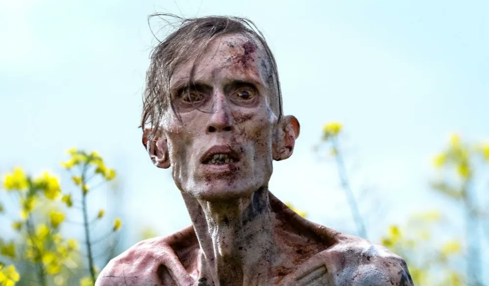 28 Years Later wasn't a bad film at all, but it was also quite disappointing.

The bar was set pretty high by 28 days later and 28 weeks later and even though this film didn't suck, it just felt like a filler episode and like almost nothing mattered. There wasn't enough action