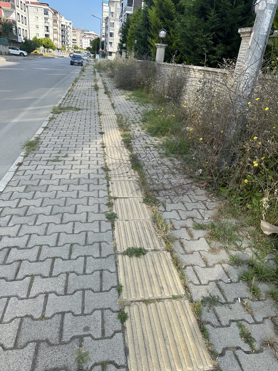 nurier's tweet photo. ⁦@atakumbeltr⁩ ⁦@samsunbsb⁩ merhaba, Atakum Atakent Mh. https://t.co/XWVZi0ByMA kaldırımlar bu şekilde ve etraftaki diğer sokaklarda. Ot biçme çalışması yapmayı düşünür müsünüz? https://t.co/lASMAAhfec
