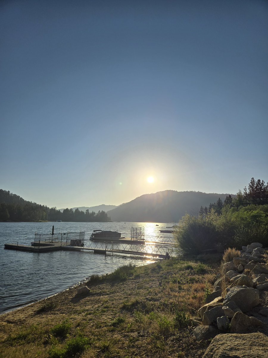 Dr Angela Williamson tweet media