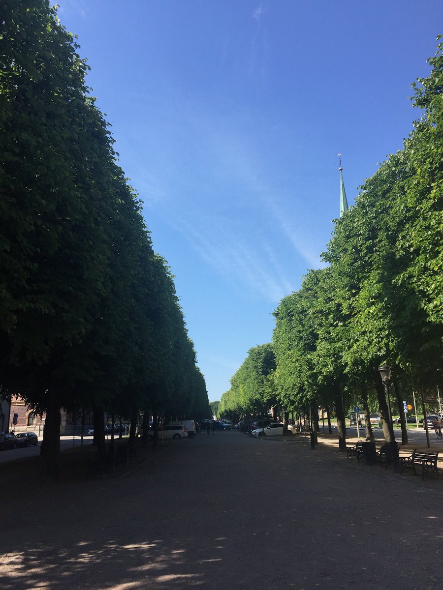 C. Nkulikiyinka tweet media