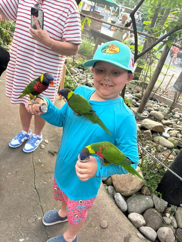 Chad R. Aull (@chadaull) on Twitter photo Thank you Louisville Zoo for a wildly fun night! From the splash pad to the Koala chat and especially the Lorikeets, theres something for everyone. Already looking forward to our next visit! <a href="/LouisvilleZoo/">Louisville Zoo</a> Thank you Louisville Zoo for a wildly fun night! From the splash pad to the Koala chat and especially the Lorikeets, theres something for everyone. Already looking forward to our next visit! <a href="/LouisvilleZoo/">Louisville Zoo</a>