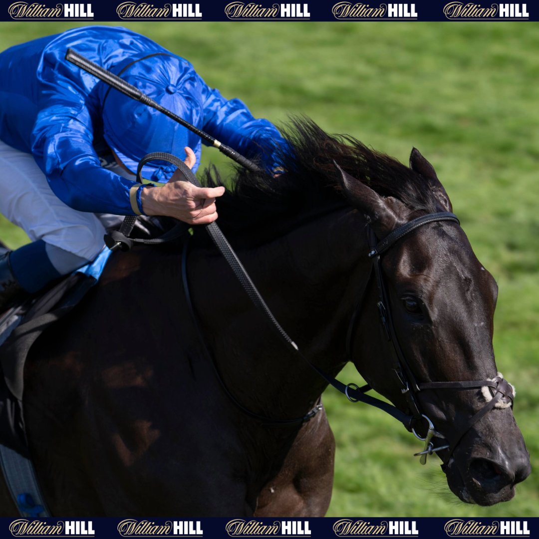 You can always rely on Rebel's Romance, Charlie!

🥇 18 wins
🏆 12 at Group level
🇩🇪 Germany
🇭🇰 Hong Kong
🇦🇪 UAE
🇺🇸 USA
☀️ Glorious Goodwood
👑 Royal Ascot
