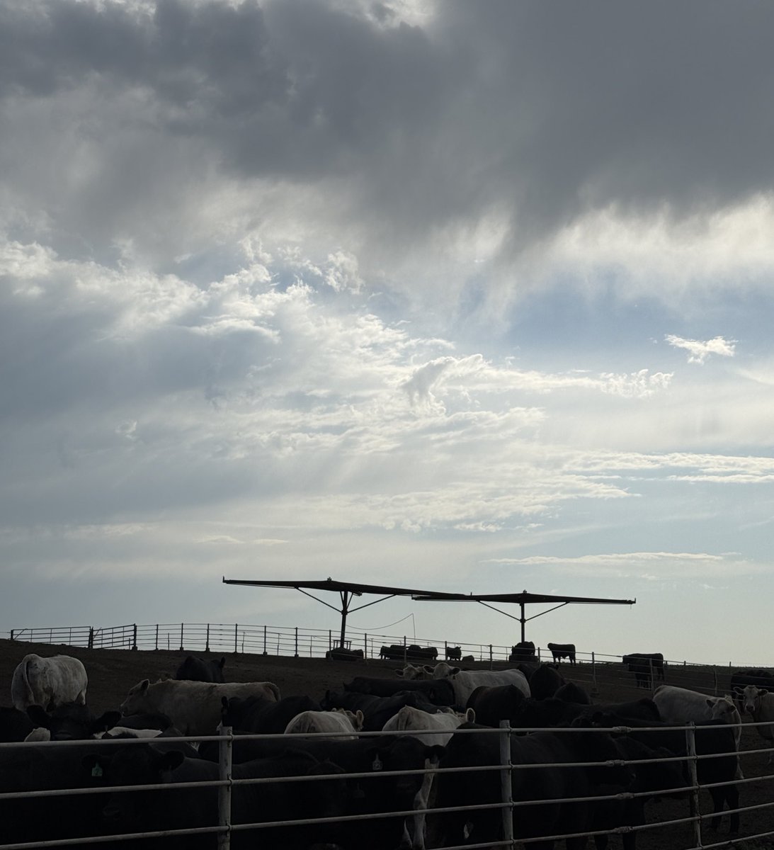 Thank you, God, the the gift of clouds for a little while this morning and the continued gift of wind during this heat.