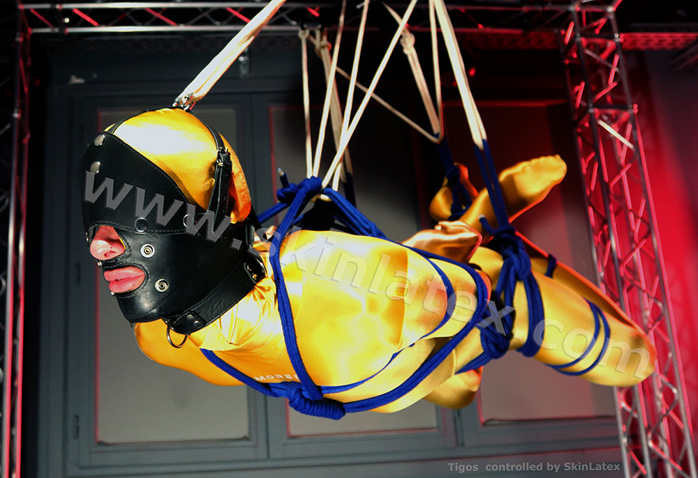 SkinLatex 🔜 US North-East tweet media