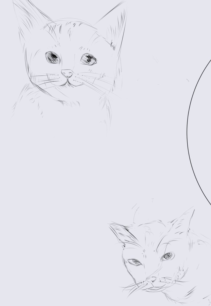 ProfessorSen0's tweet photo. 猫を描きたかったのに、めっちゃ怒ってる顔になっちゃった。わわわ https://t.co/MtM1yA00FV