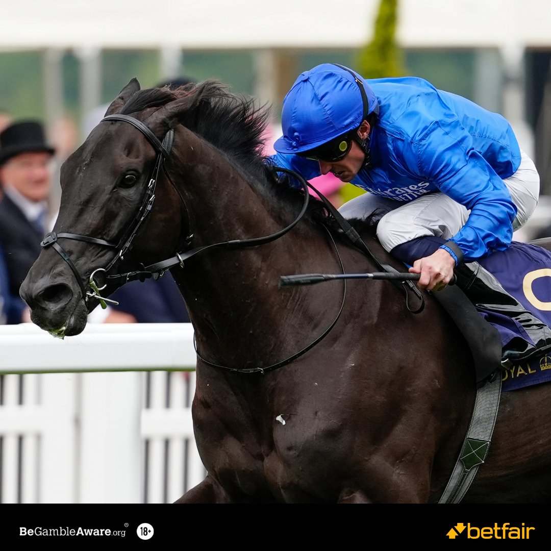 What a DUDE.

Rebel's Romance's has now won £10.7m in prize money.

🥇 18 wins from 26 races
🏆 12 wins at Group level
🎩 Royal Ascot
🍾 Glorious Goodwood
🇩🇪 Germany
🇭🇰 Hong Kong
🇦🇪 UAE
🇺🇸 USA

He's now 6/1 from 8/1 for the King George.