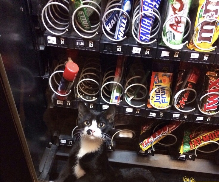 Not what I was expecting when I ordered a Kit Kat.  🤣🤣