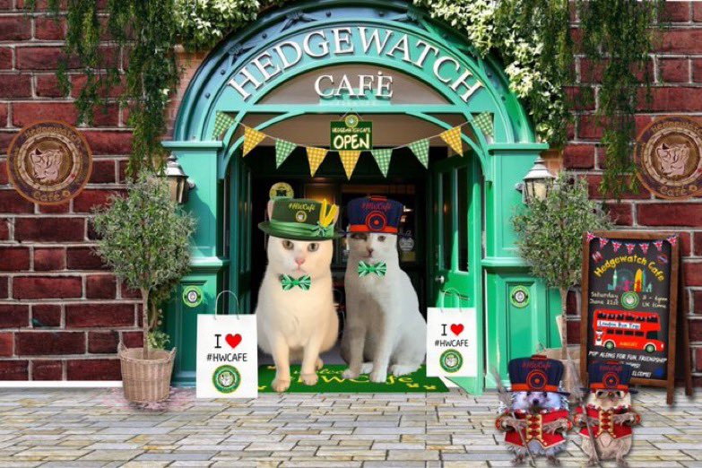 Meow meow we are here 
Where’s Alma and stich &amp; Kiki I wonder for our London adventure 🩵🤍 #hwcafe