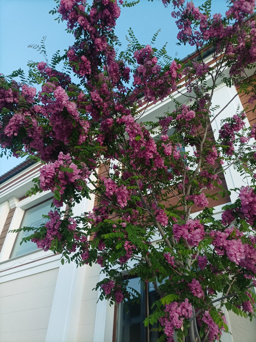 Yeri veya aracı olan varmı