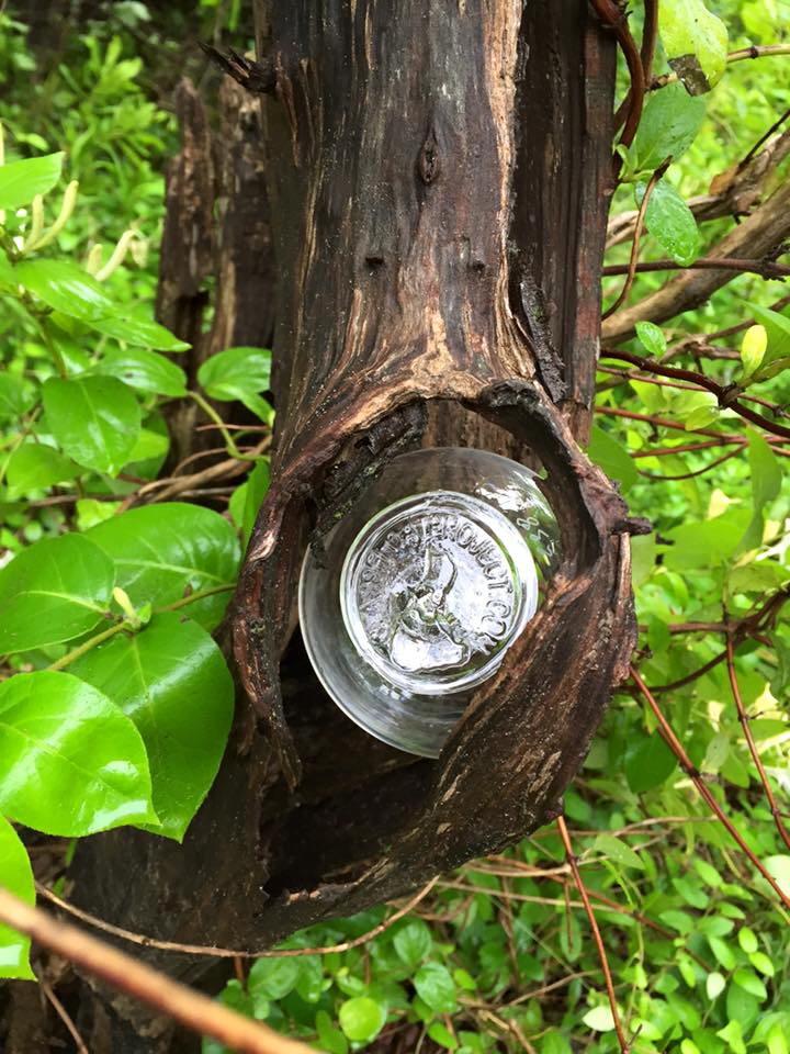 Rhode Island (@ritourism) on Twitter photo Summer on @blockislandinfo is for treasure hunting. 🔎☀️
This island-wide scavenger hunt on @blockislandinfo is the perfect way to start summer with the fam, and <a href="/WhereverFamily/">WhereverFamily</a> thinks so too. 😎
Read why here: bit.ly/4kNC3IY
#VisitRhodeIsland #myblockisland Summer on @blockislandinfo is for treasure hunting. 🔎☀️
This island-wide scavenger hunt on @blockislandinfo is the perfect way to start summer with the fam, and <a href="/WhereverFamily/">WhereverFamily</a> thinks so too. 😎
Read why here: bit.ly/4kNC3IY
#VisitRhodeIsland #myblockisland