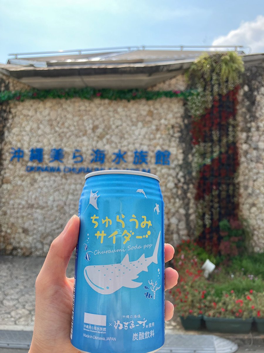 _mn327's tweet image. 美ら海水族館行って来ました🐟✨
お食事中のジンベイザメも見れて良かった😳
