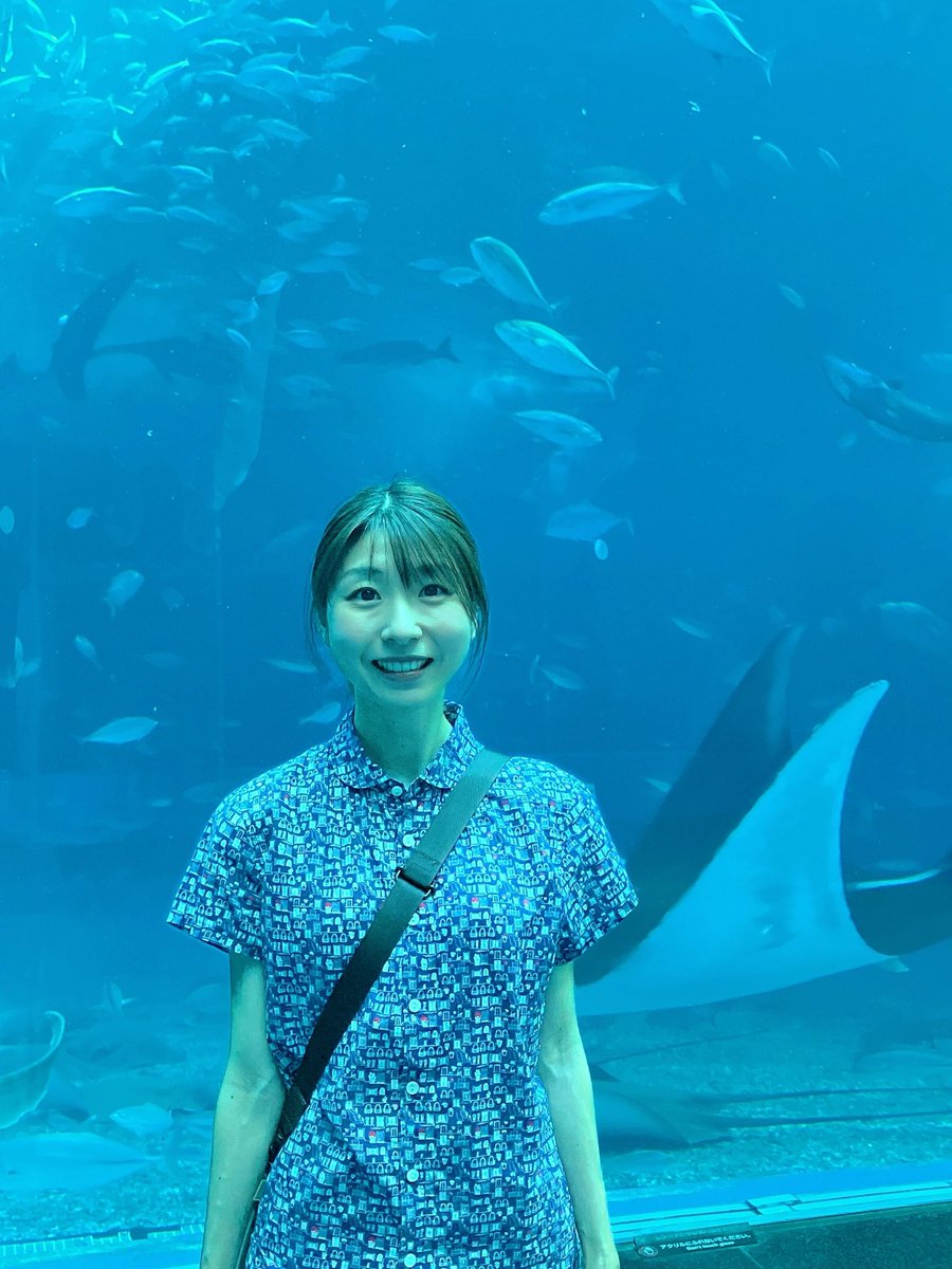 _mn327's tweet image. 美ら海水族館行って来ました🐟✨
お食事中のジンベイザメも見れて良かった😳
