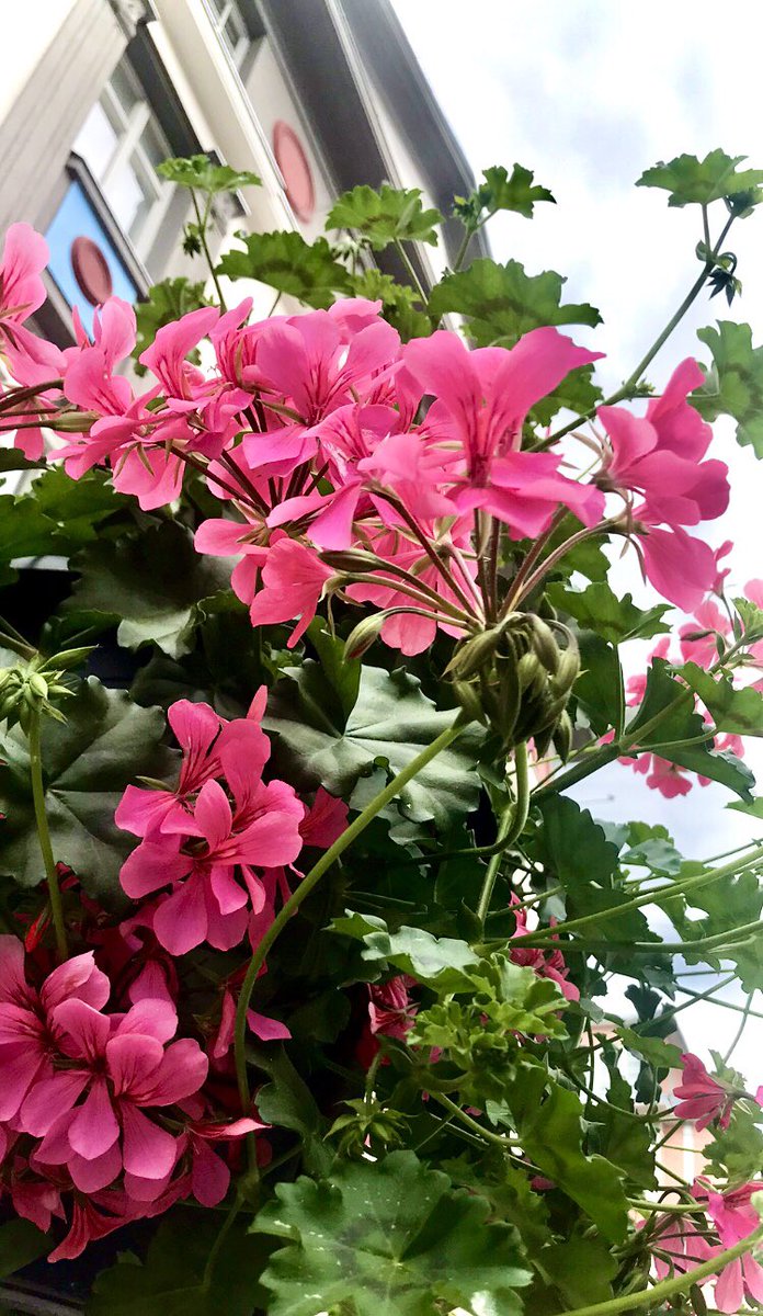 <a href="/marie_nassar/">Marie Nassar</a> Happy Saturday dearest Marie 💖🌿

📸 21.6.25 me 📍Oulu 🇫🇮