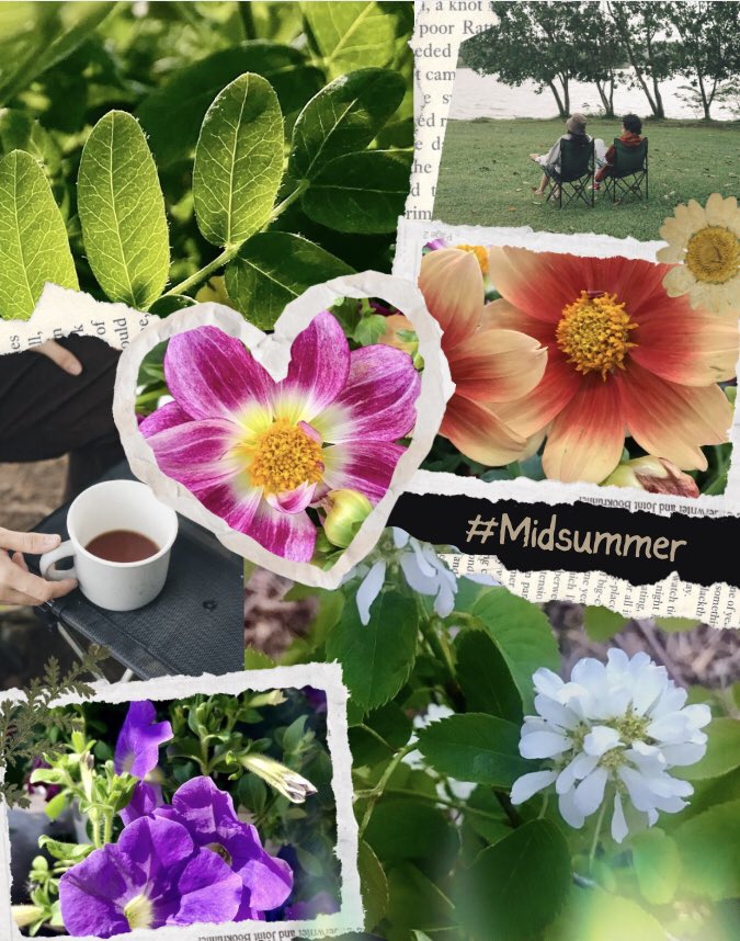 <a href="/VieNatureSavoir/">Ⓜ️ⒶⓇⒸ ღ</a> Happy Saturday, weekend dear Marc 💚

📷 photo collage by me