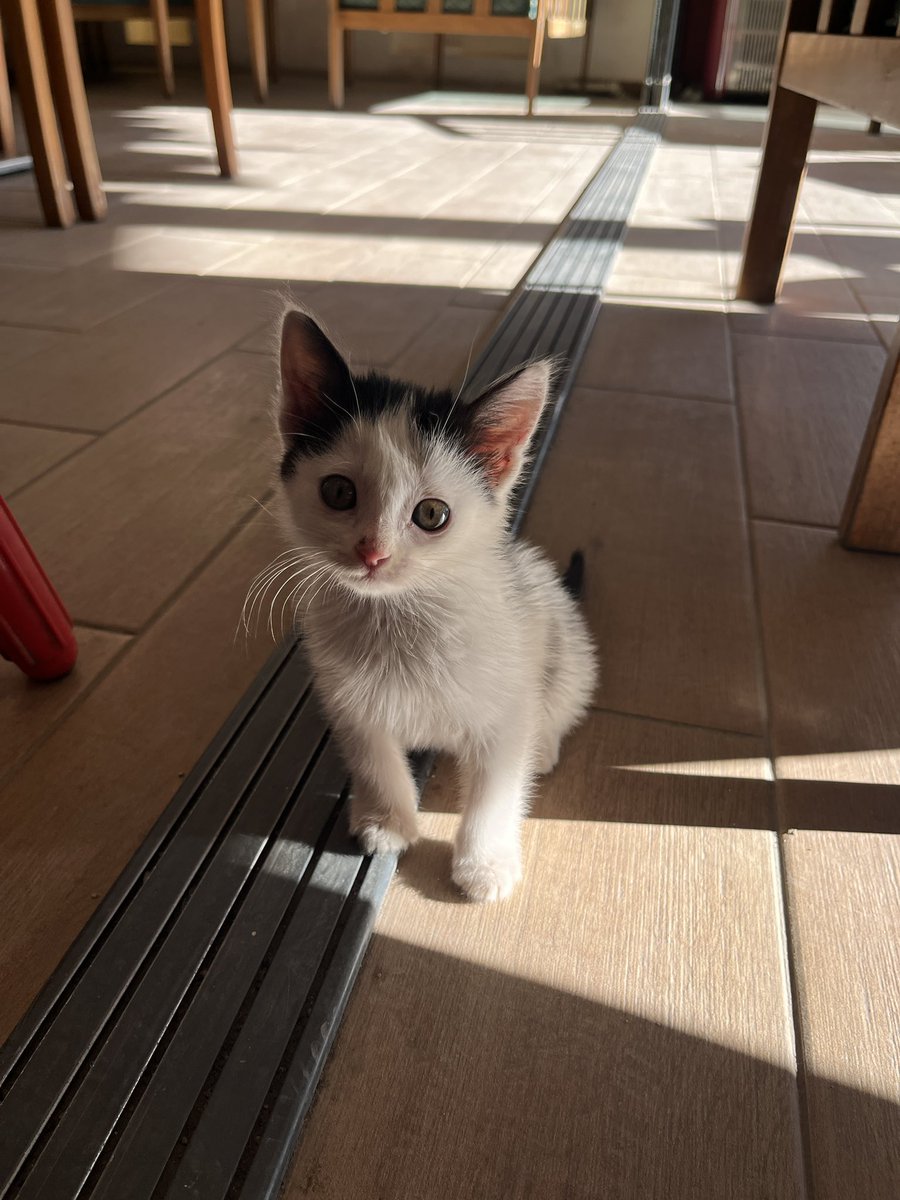 Bakma öyle bizi de harcadılar:(