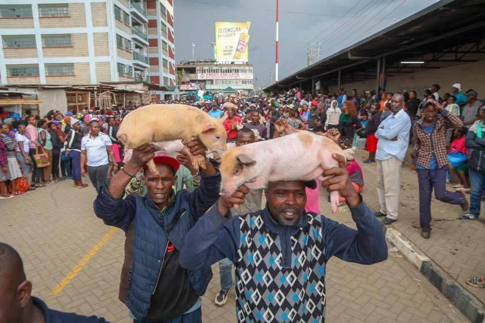 Huko Kiambu wanapewa tuNdii na Governor😌.