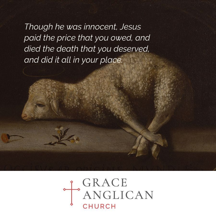Grace Anglican Louisville (@graceanglou) on Twitter photo 