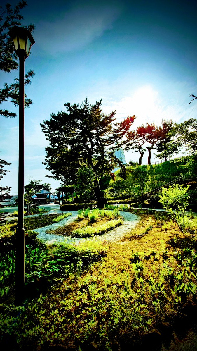 mvkqV4BWpFRLset's tweet image. 湊庭園🏡草、木、花といい感じ〜。目標!とにかく歩く!!