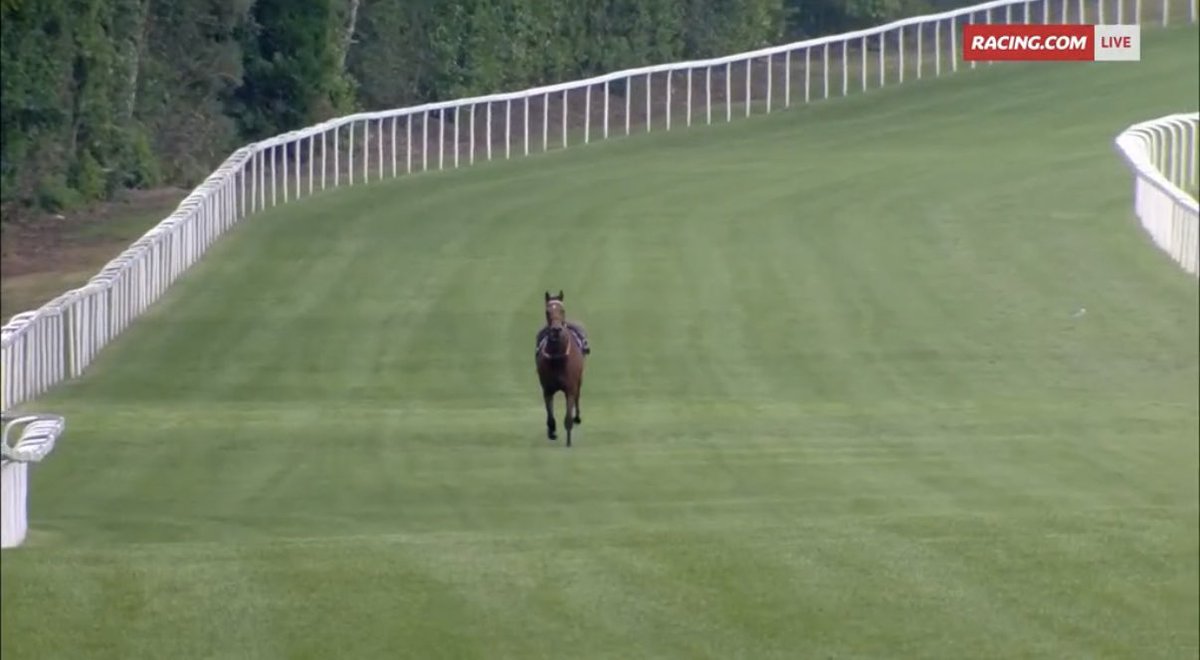 Lazzat victory lap. Go on son!