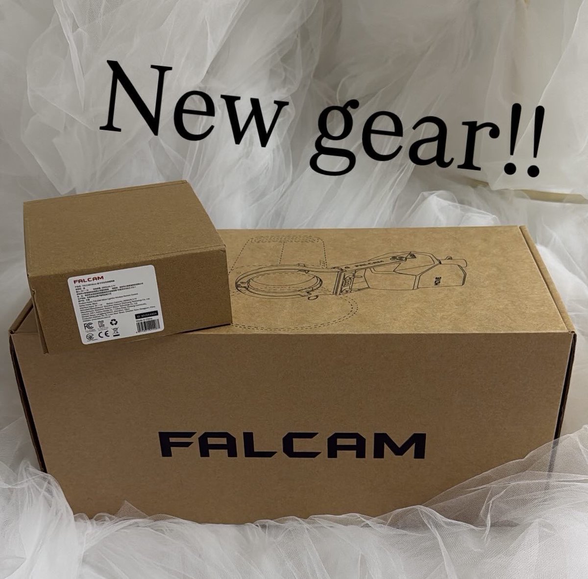 Rinaty🐔セルフポートレート写真家 tweet media