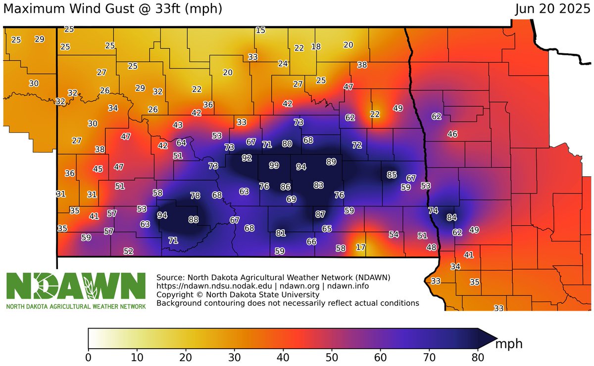 Cassidy Holth tweet media