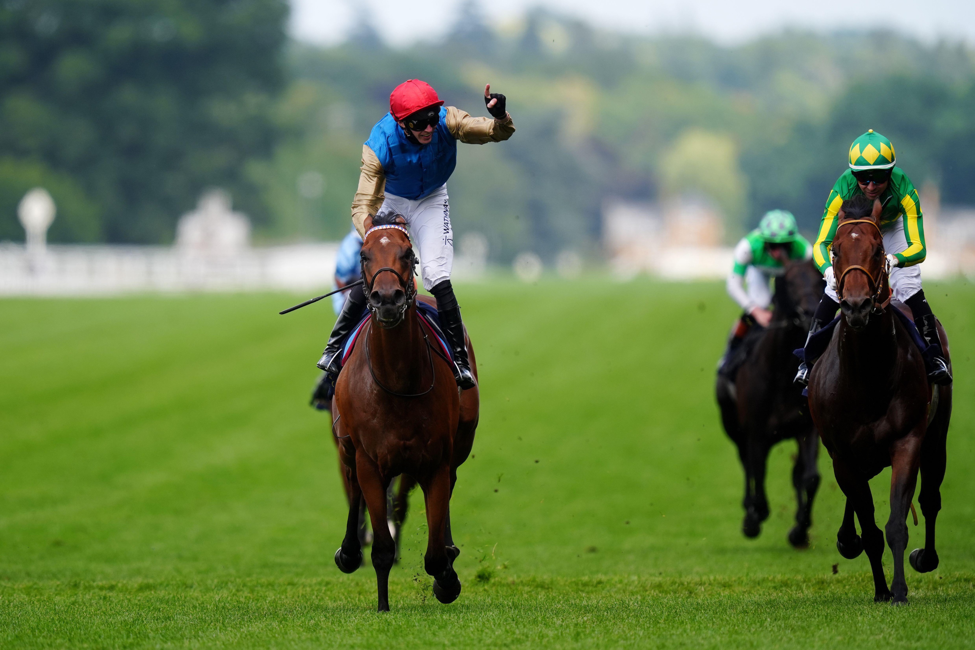Timeform on X: 