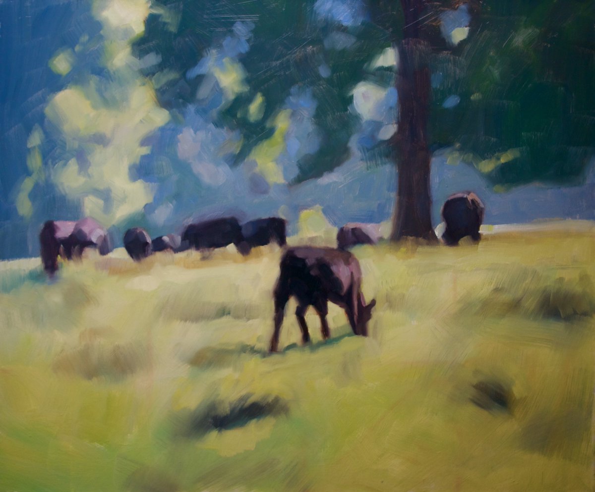 lgseebach's tweet photo. This morning's oil study of Black Angus cattle, Clark Park, Traer, Iowa - 30"x36" oil on linen #100daysofpainting #art #oilpainting #paintings #painting #artists #painterlypainter #artists #artistsontwitter #madeinamerica #dashpay https://t.co/6f4sJxfxp0