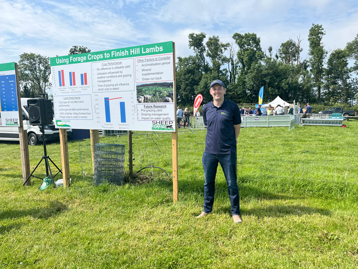 Teagasc (@teagasc) on Twitter photo Teagasc Athenryโs latest research on using forage crops to finish hill lambs was discussed at the #Sheep2025 Open Day, today, June 21. Read the key results here: bit.ly/3T1C8go <a href="/TeagascSheep/">TeagascSheep</a> Teagasc Athenryโs latest research on using forage crops to finish hill lambs was discussed at the #Sheep2025 Open Day, today, June 21. Read the key results here: bit.ly/3T1C8go <a href="/TeagascSheep/">TeagascSheep</a>