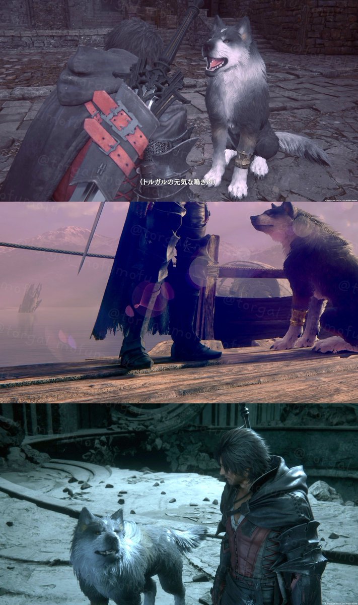 torgal_mofumofu's tweet image. FINAL FANTASY XVI
2nd Anniversary🐺🔥
ずっと一緒✨
I'll be with you the whole time✨
#FF16