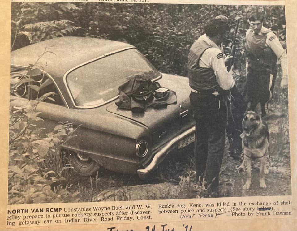 We remember Police Service Dog Keno, killed in the line of duty 54 years ago this month.

Keno was shot and killed while bravely assisting #NorthVan RCMP in the arrest of two armed bank robbers in Deep Cove on June 18, 1971.

His handler was also wounded in the exchange of