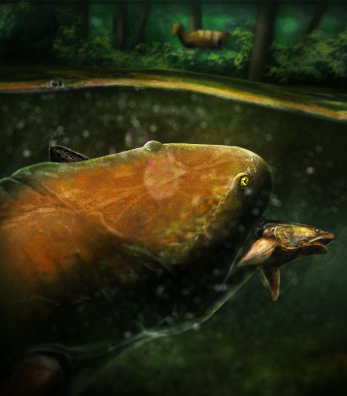 Koolasuchus
The disturbance in the water caught the attention of a Muttaburrasaurus walking through the ferns.

Commission 5 out of 22

#paleoart