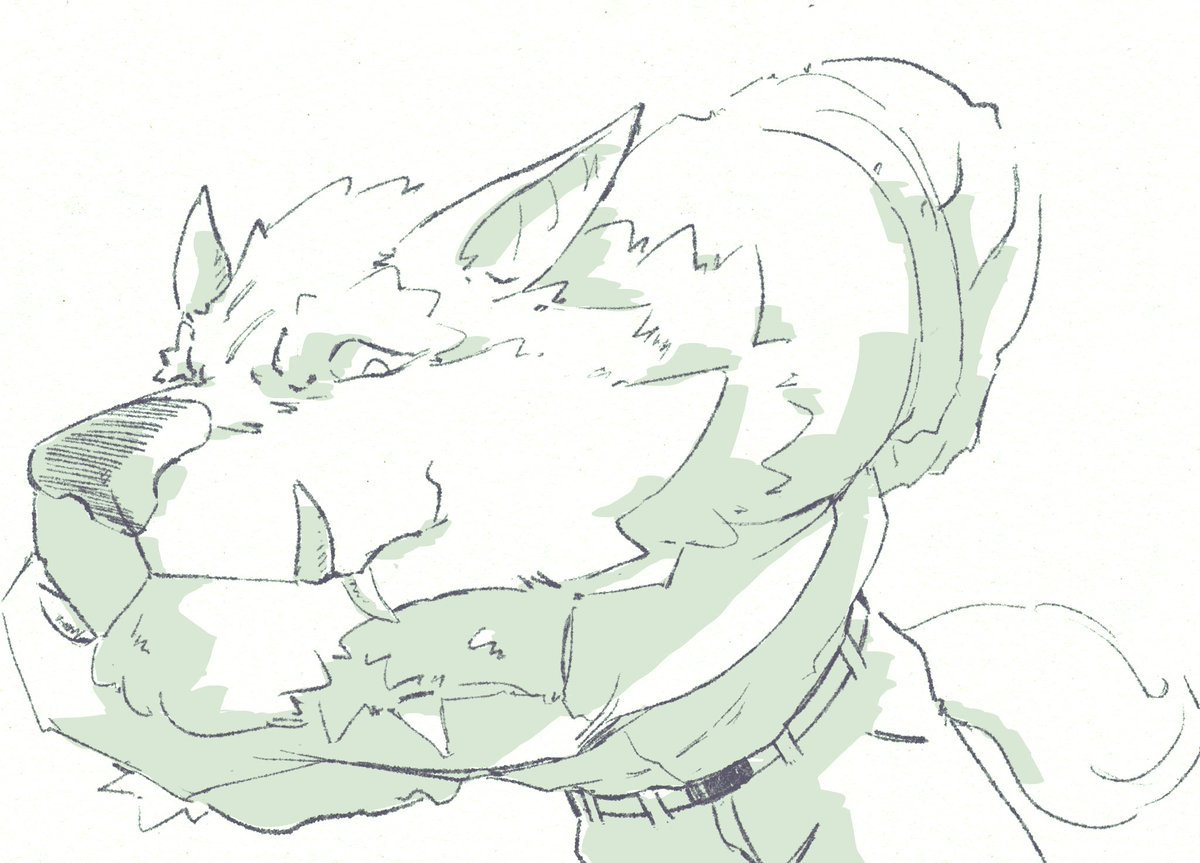 fredbedder's tweet image. 🐺👀