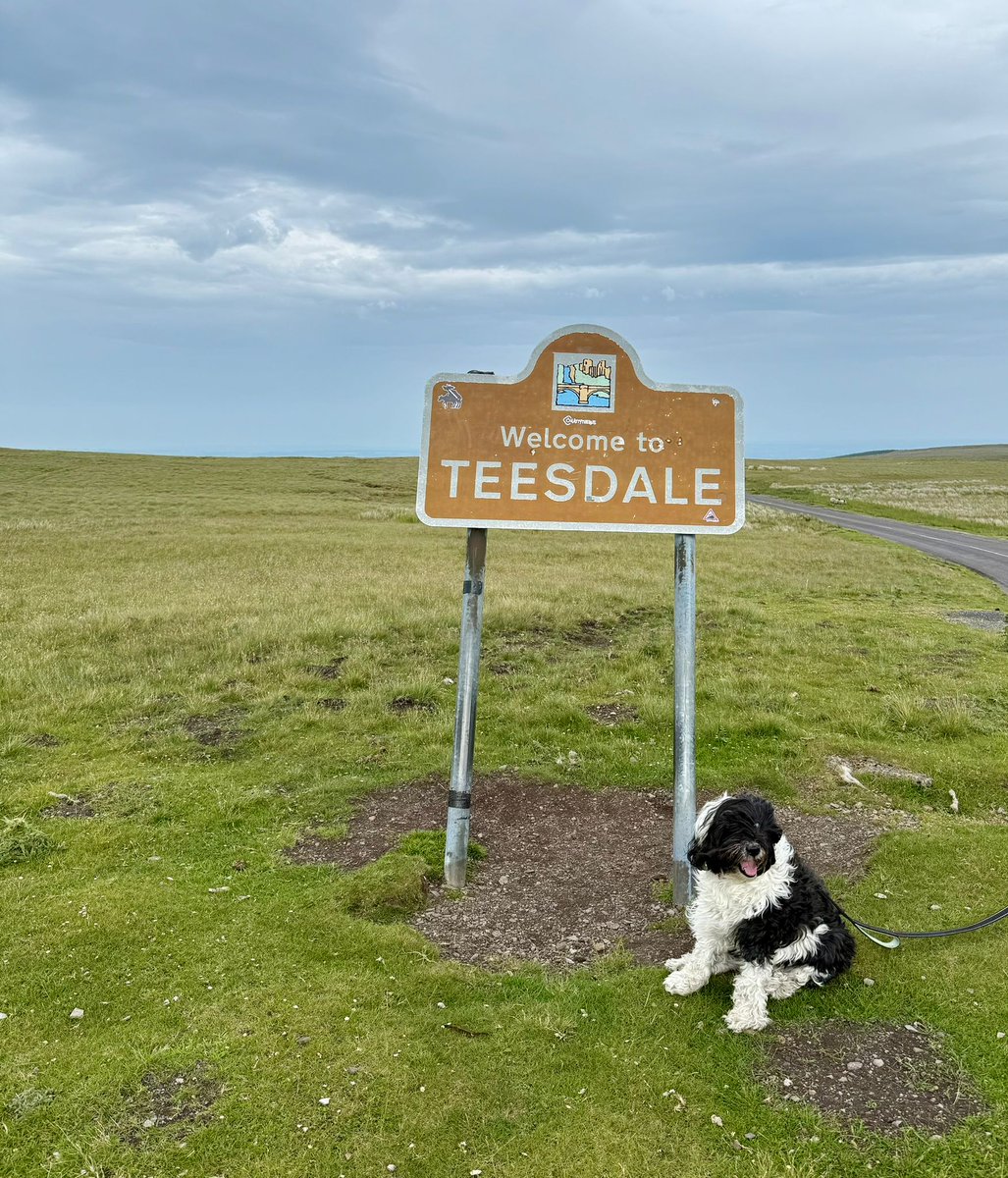 Day four of wherefrancktoday! It's a big hill and it's windy??