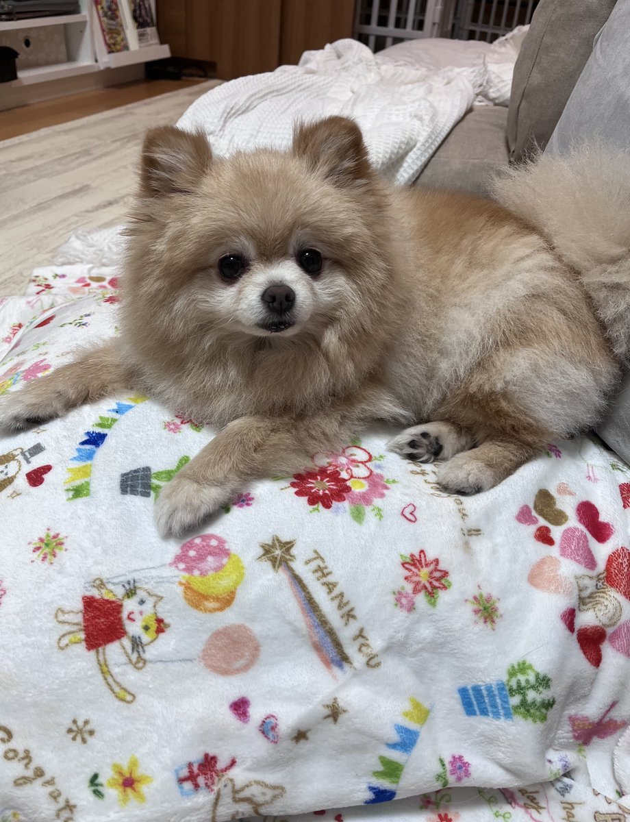 急に暑くなりすぎて、クーラー効いた部屋にしかおれまへん