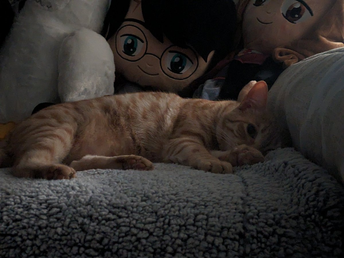 El siestas