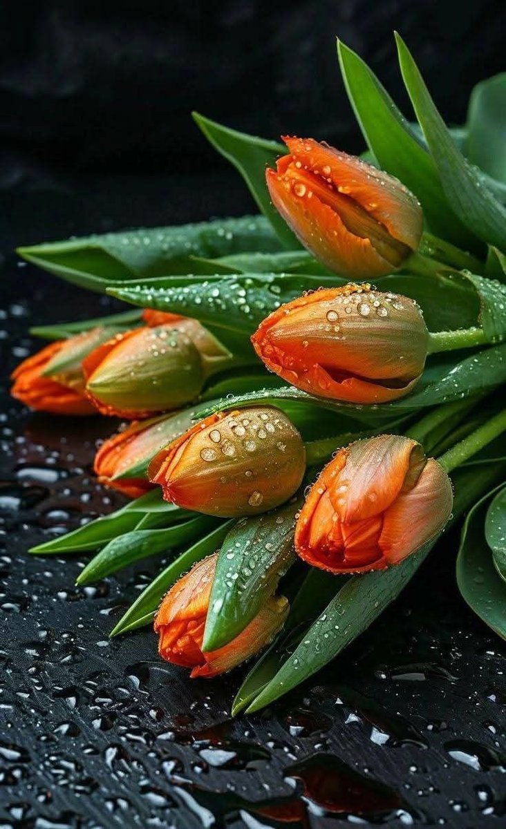 🌻🌷Mariana Fabiola🌷🌻 (@marifa05) on Twitter photo <a href="/MNPTi1/">𝟏.𝟐𝐌👑⃟≛⃝𝔐𝔲𝔫𝔰𝔦𝔣🕊️⃟⋆ ابوسلم ≛⃝🔶</a> <a href="/NM1k_/">༺ 𒆜𝑵𝑬𝑬𝑵𝑨𝑯𒆜 ༻</a> <a href="/P_PTi4/">Nosheen Aurangzaib</a> <a href="/As_t40/">𝐀 𝐒𝐚𝐭𝐭𝐚𝐫</a> <a href="/Y22NY/">YASEEN</a> <a href="/majavd2/">Muhammad Aslam Javaid</a> <a href="/4mir_8/">Aamir Hayat Awan</a> <a href="/Iqb9786/">ℨ𝔢𝔢𝔰𝔥𝔞𝔫 𝔦𝔮𝔟𝔞𝔩 𝔥𝔲𝔰𝔰𝔞𝔦𝔫</a> <a href="/AZEEMVIRK30/">AZEEM VIRK</a> <a href="/CarloSportfan/">SportISmyLIFE ⚽⚾🏀🏐🏈🎾🎳🏏🏓⛳</a> <a href="/Bortebey/">Bortebey</a> <a href="/_DeusaAthenna/">🌿🪷 𝓐𝓽𝓱𝓮𝓷𝓷𝓪 🌿🪷</a> <a href="/1Mlkani/">🫀✨ بـــــاوا کی دیــــــوانی✨🫀</a> <a href="/Mhor88/">Mahoor</a> <a href="/MarinaEle23/">❣️Marina Elena V.❣️#𝔻𝕖𝕁𝕒𝕡𝕠𝕟𝔸𝕣𝕚𝕘𝕒𝕥𝕠🌸</a> <a href="/x_fa_r/">IFB 💯</a> <a href="/zainii_02/">ش۔ب 🥀</a> <a href="/Sanii_007/">Sania...</a> <a href="/1_cchcc/">HAMDI</a> <a href="/10Pirzada/">°✮°مســـــکان Kђāŋ °✮°</a> <a href="/cknlaw1/">🌐ニシ🍥⚖️</a> <a href="/djombic/">Alexdjombic⚔#MGWVⓂ️🌹🅰🇱🇪🇽6⃣3⃣</a> <a href="/etc804/">ƒα૨ɱαɳ αℓαɱ</a> <a href="/C0kCicis/">💍CicişBuu👡👜</a> <a href="/raiajmal58/">Rai Ajmal</a> Thank 💕
* you🌷🌷
My dear friend, for your
beautiful mention.
<a href="/MNPTi1/">𝟏.𝟐𝐌👑⃟≛⃝𝔐𝔲𝔫𝔰𝔦𝔣🕊️⃟⋆ ابوسلم ≛⃝🔶</a> 🌷🌷#P_PTI 🌷 <a href="/MNPTi1/">𝟏.𝟐𝐌👑⃟≛⃝𝔐𝔲𝔫𝔰𝔦𝔣🕊️⃟⋆ ابوسلم ≛⃝🔶</a> <a href="/NM1k_/">༺ 𒆜𝑵𝑬𝑬𝑵𝑨𝑯𒆜 ༻</a> <a href="/P_PTi4/">Nosheen Aurangzaib</a> <a href="/As_t40/">𝐀 𝐒𝐚𝐭𝐭𝐚𝐫</a> <a href="/Y22NY/">YASEEN</a> <a href="/majavd2/">Muhammad Aslam Javaid</a> <a href="/4mir_8/">Aamir Hayat Awan</a> <a href="/Iqb9786/">ℨ𝔢𝔢𝔰𝔥𝔞𝔫 𝔦𝔮𝔟𝔞𝔩 𝔥𝔲𝔰𝔰𝔞𝔦𝔫</a> <a href="/AZEEMVIRK30/">AZEEM VIRK</a> <a href="/CarloSportfan/">SportISmyLIFE ⚽⚾🏀🏐🏈🎾🎳🏏🏓⛳</a> <a href="/Bortebey/">Bortebey</a> <a href="/_DeusaAthenna/">🌿🪷 𝓐𝓽𝓱𝓮𝓷𝓷𝓪 🌿🪷</a> <a href="/1Mlkani/">🫀✨ بـــــاوا کی دیــــــوانی✨🫀</a> <a href="/Mhor88/">Mahoor</a> <a href="/MarinaEle23/">❣️Marina Elena V.❣️#𝔻𝕖𝕁𝕒𝕡𝕠𝕟𝔸𝕣𝕚𝕘𝕒𝕥𝕠🌸</a> <a href="/x_fa_r/">IFB 💯</a> <a href="/zainii_02/">ش۔ب 🥀</a> <a href="/Sanii_007/">Sania...</a> <a href="/1_cchcc/">HAMDI</a> <a href="/10Pirzada/">°✮°مســـــکان Kђāŋ °✮°</a> <a href="/cknlaw1/">🌐ニシ🍥⚖️</a> <a href="/djombic/">Alexdjombic⚔#MGWVⓂ️🌹🅰🇱🇪🇽6⃣3⃣</a> <a href="/etc804/">ƒα૨ɱαɳ αℓαɱ</a> <a href="/C0kCicis/">💍CicişBuu👡👜</a> <a href="/raiajmal58/">Rai Ajmal</a> Thank 💕
* you🌷🌷
My dear friend, for your
beautiful mention.
<a href="/MNPTi1/">𝟏.𝟐𝐌👑⃟≛⃝𝔐𝔲𝔫𝔰𝔦𝔣🕊️⃟⋆ ابوسلم ≛⃝🔶</a> 🌷🌷#P_PTI 🌷