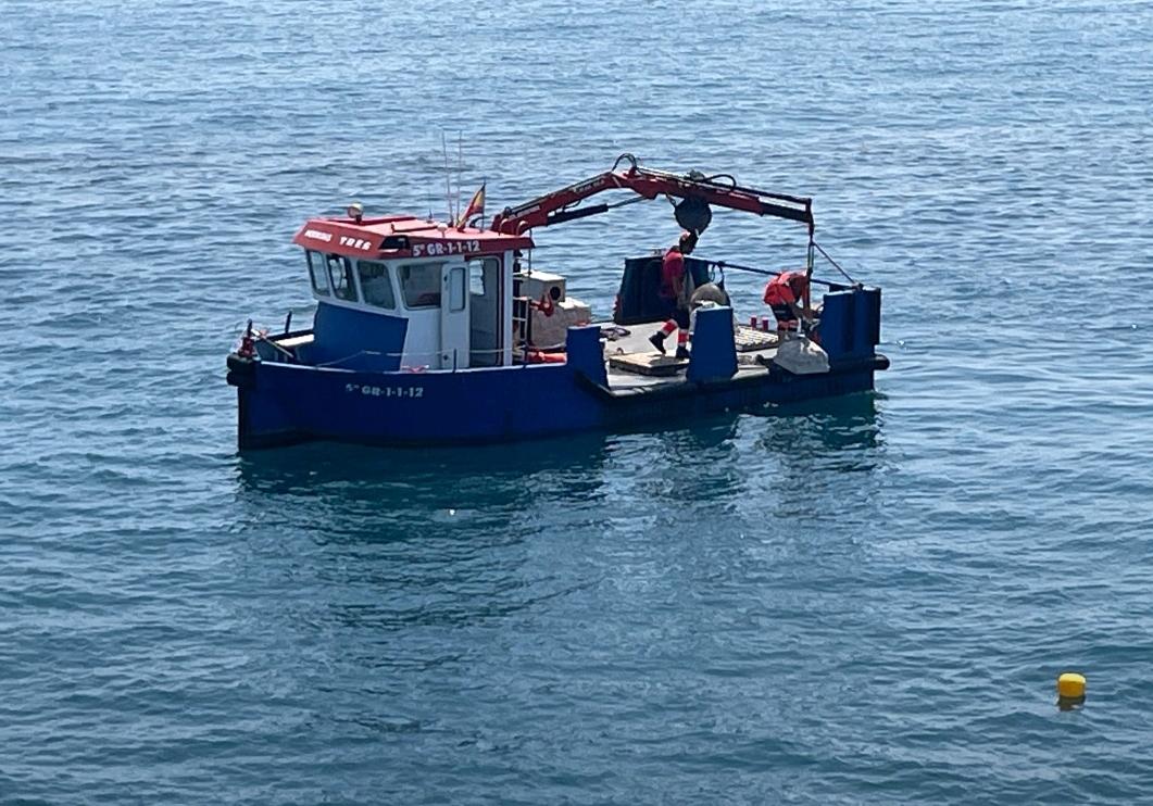 CalaBonaRadio's tweet image. 🟦 @FuturaOna  i entitats científiques han instal·lat “hotels” submarins al Port Olímpic de Barcelona per regenerar la biodiversitat marina. Un projecte pioner dins l’economia blava. 🌊🐠

#RestauracióMarina #BlueEconomy #OceanTech

Podeu llegir-la 
👇

diaridecalabona.com/ca/blog/hotels…