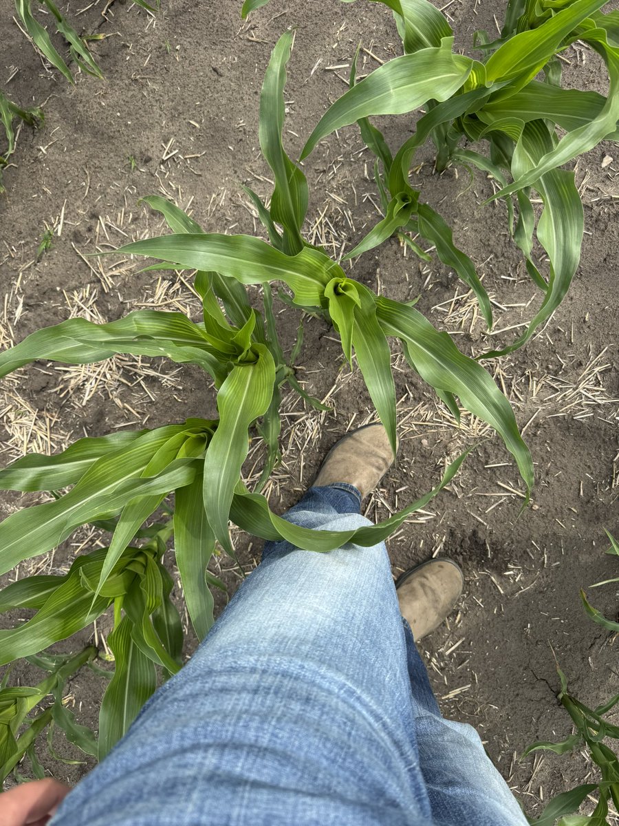 Jesse Bernard tweet media