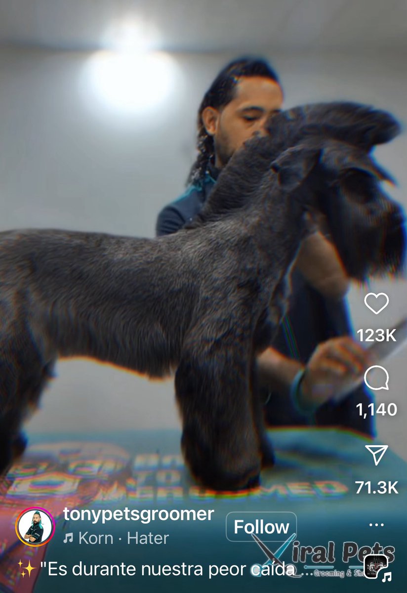 Alfonso Milner tweet media