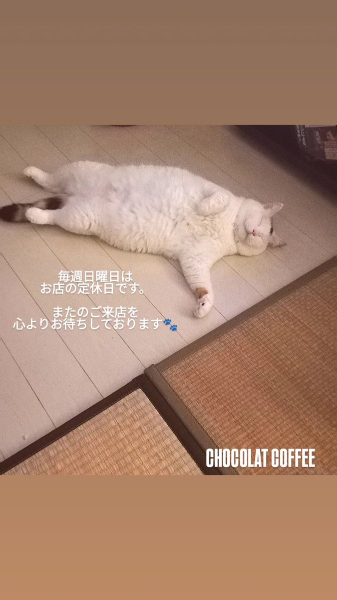 毎週日曜日は、お店の定休日です。
またのご来店を心よりお待ちしております。
#清瀬
#清瀬デート
#清瀬のコーヒースタンド 
#猫飼い