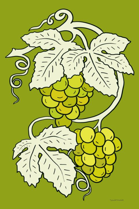 Art of the Day: "White grapes with light leaves". Buy at: ArtPal.com/tijanadobic?i=…