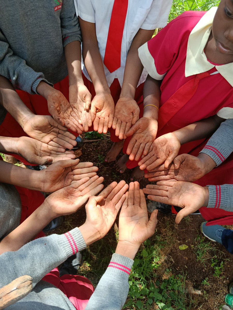 ShakurNjeru1's tweet image. Engaging school children in CCHeFs project through gardening teaches where food truly comes from. Through planting indigenous crops we鈥檙e growing future climate champions and building urban green movements and building stronger food systems with the young
@aphrc @Wanavijiji_sdi