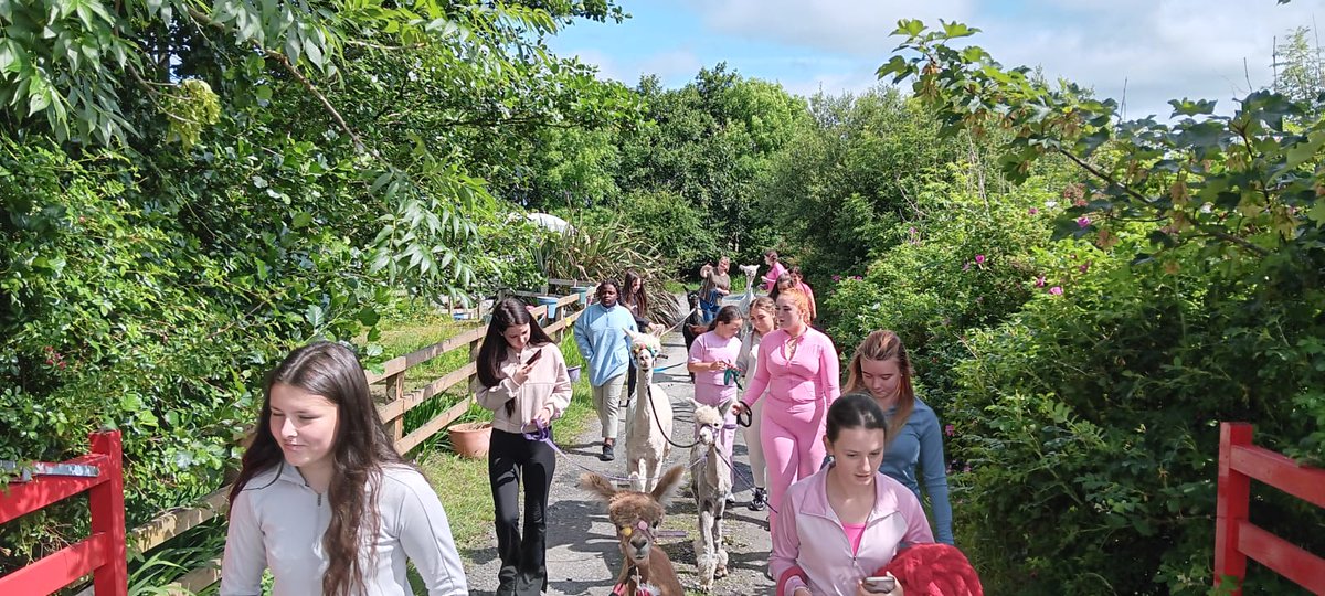 A unique experience for the #ASM students participating in the SCP Summer Camp at The Flying Alpaca! They went for a little stroll with some new friends!