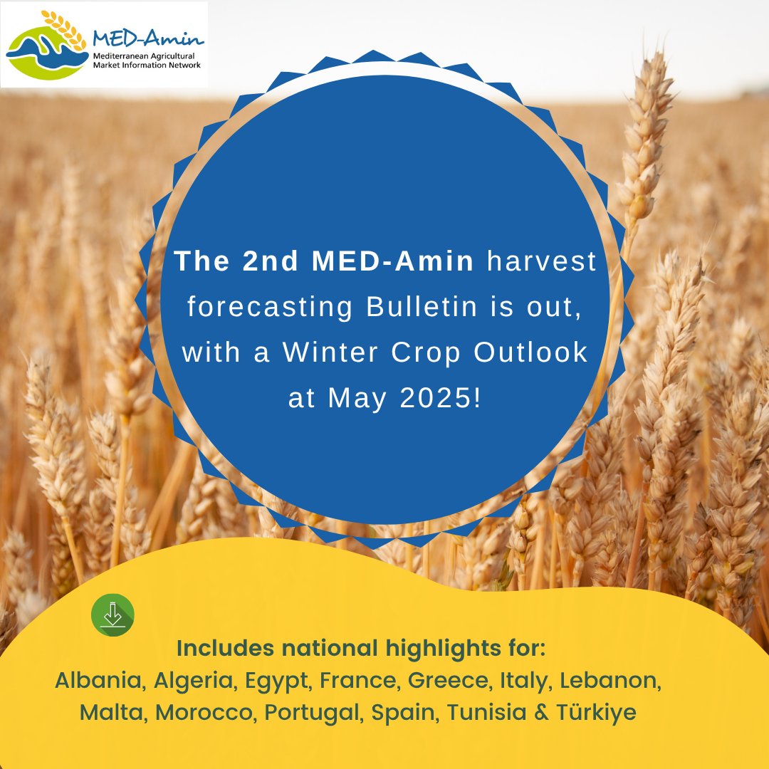 🌾 Are you mainly interested in harvest forecasting in certain countries? 🌎
The #MEDAmin 2025 outlook also provides national highlights for Albania, Algeria, Egypt, France, Greece, Italy, Lebanon, Malta, Morocco, Portugal, Spain, Tunisia and Türkiye ♨️
🖥️ med-amin.org/fr/ressources/…