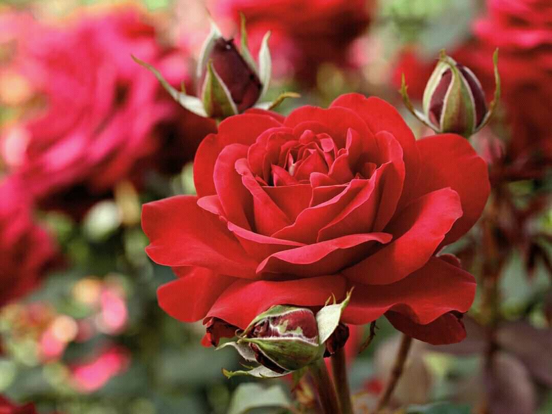 ابو خديجة (@k77q66) on Twitter photo ﷽
#قروبات_توفيق_للدعم
#بّــــدآيــــّآتُ
<a href="/K77Q66/">ابو خديجة</a>
133
<a href="/tl00l0_3/">الوطن الجريح</a>
784
<a href="/TECCTJ/">توفيق</a>
769
<a href="/cerezobaby/">Tawfiq</a>
433
<a href="/Eyes_455/">العيون الساحره</a>
759
<a href="/tl00l001/">twfiq</a>
728
<a href="/T039tt4/">يمن الايمان والحكمة</a>
211
<a href="/ECCTJ/">نـ♣︎ـوٌرٍ ♣𓋜</a>
888
<a href="/SAlfkee/">قيادة / الكـــــ 🌎 ـــــورة الأرضيّة /🔥🔥🔥🔥🔥</a>
727
<a href="/T039tt3/">تـــ فيق ـــو3</a>
040
<a href="/SwahLy60484/">سبحان الله وبحمده</a>
150
<a href="/hashm_mhm/">محمد</a>
350
<a href="/guguzinh_o/">لعـــ هاشم ــيون🎉🌟</a>
000
<a href="/l17498519/">الاء♥️</a>
384
<a href="/Rizk60358Rizk/">🇪🇬Yasser Rizk</a>
150
2️⃣ ﷽
#قروبات_توفيق_للدعم
#بّــــدآيــــّآتُ
<a href="/K77Q66/">ابو خديجة</a>
133
<a href="/tl00l0_3/">الوطن الجريح</a>
784
<a href="/TECCTJ/">توفيق</a>
769
<a href="/cerezobaby/">Tawfiq</a>
433
<a href="/Eyes_455/">العيون الساحره</a>
759
<a href="/tl00l001/">twfiq</a>
728
<a href="/T039tt4/">يمن الايمان والحكمة</a>
211
<a href="/ECCTJ/">نـ♣︎ـوٌرٍ ♣𓋜</a>
888
<a href="/SAlfkee/">قيادة / الكـــــ 🌎 ـــــورة الأرضيّة /🔥🔥🔥🔥🔥</a>
727
<a href="/T039tt3/">تـــ فيق ـــو3</a>
040
<a href="/SwahLy60484/">سبحان الله وبحمده</a>
150
<a href="/hashm_mhm/">محمد</a>
350
<a href="/guguzinh_o/">لعـــ هاشم ــيون🎉🌟</a>
000
<a href="/l17498519/">الاء♥️</a>
384
<a href="/Rizk60358Rizk/">🇪🇬Yasser Rizk</a>
150
2️⃣
